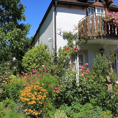 Hotel Zur Krone Ауген Екстериор снимка